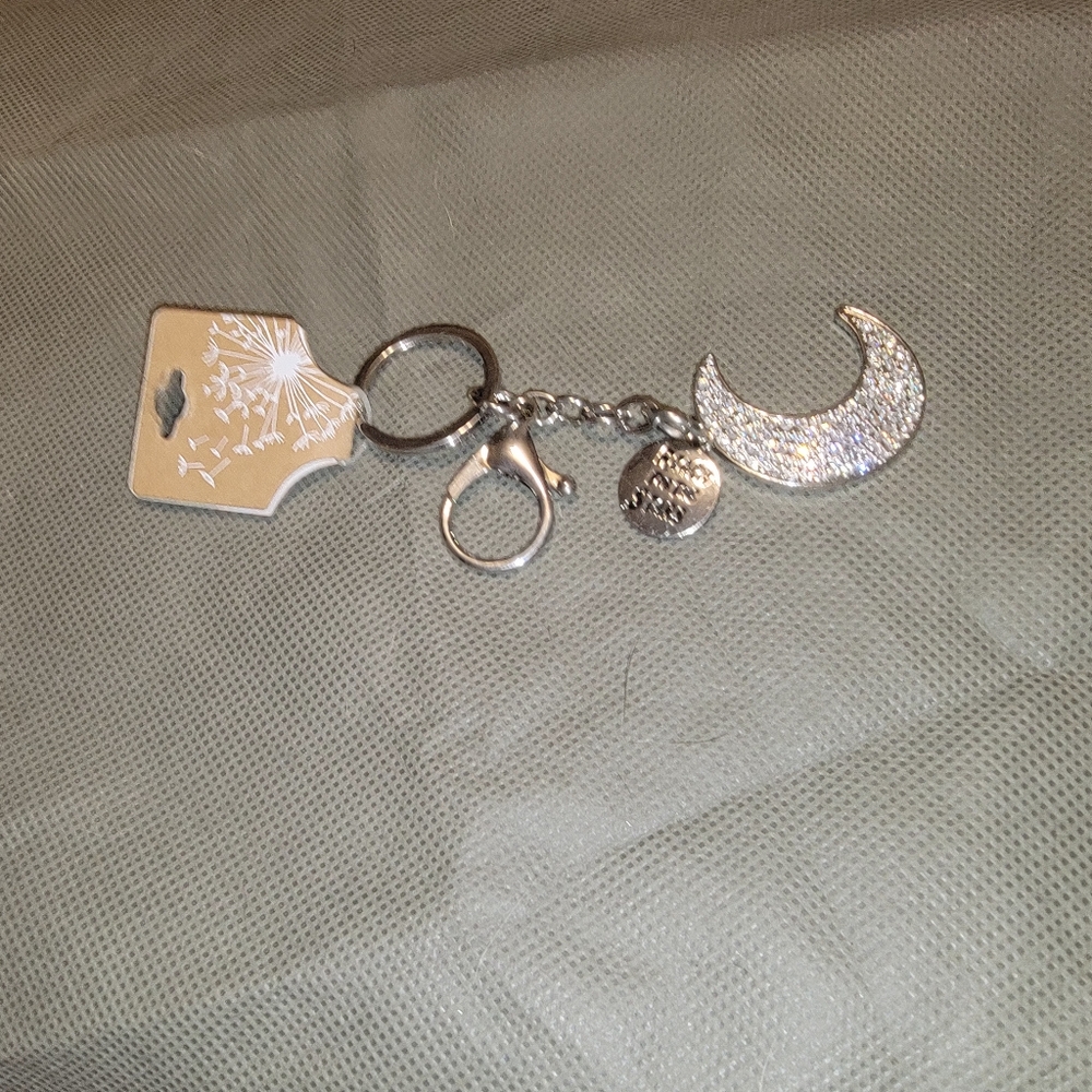 Key Chain - Picture 3 of 3